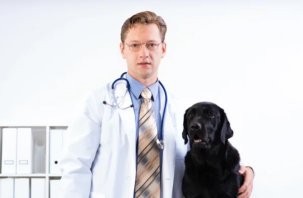 Porträtt av en veterinär — Stockfoto