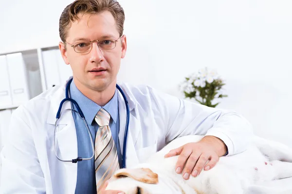 Portrait of male vet — Stock Photo, Image