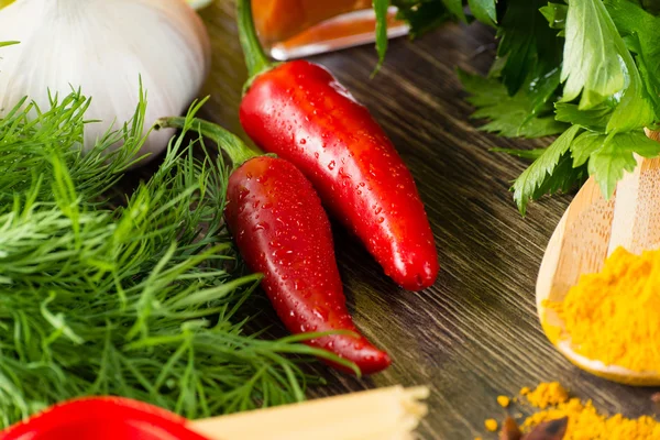 Chilli, herbs and spices lie — Stock Photo, Image