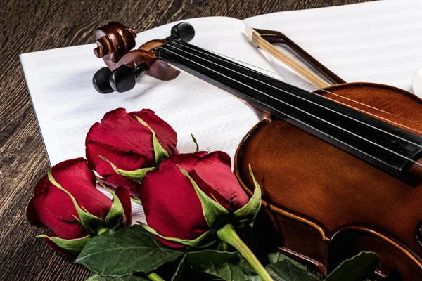 Violín, rosa y libros de música — Foto de Stock