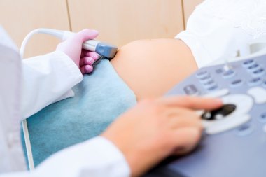 el ve abdominal ultrason tarayıcı