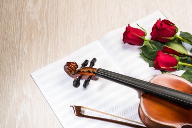 keman, gül ve müzik kitapları