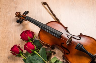keman, gül ve müzik kitapları