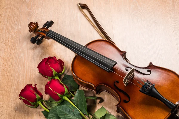 Violin, rose och musik böcker — ストック写真