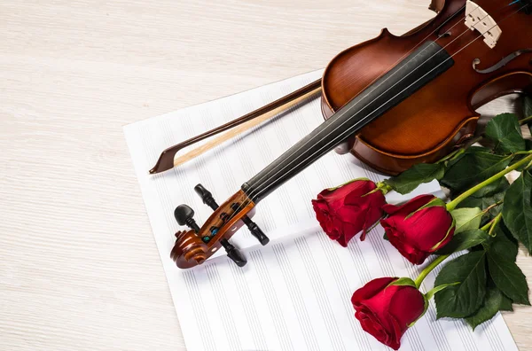 Скрипка, розы и музыкальные книги — стоковое фото