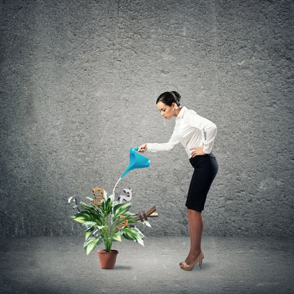 Unternehmensgründung — Stockfoto