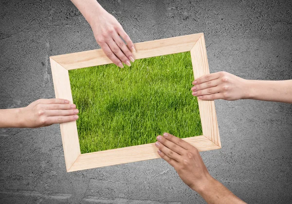 Frame met gras — Stockfoto