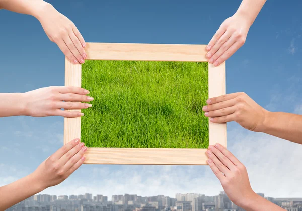 Frame met gras — Stockfoto