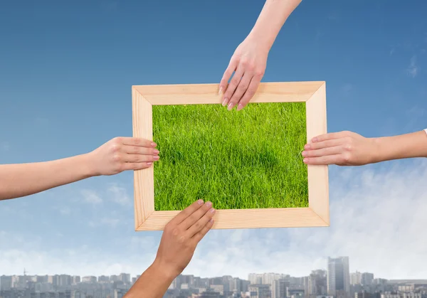 Frame met gras — Stockfoto