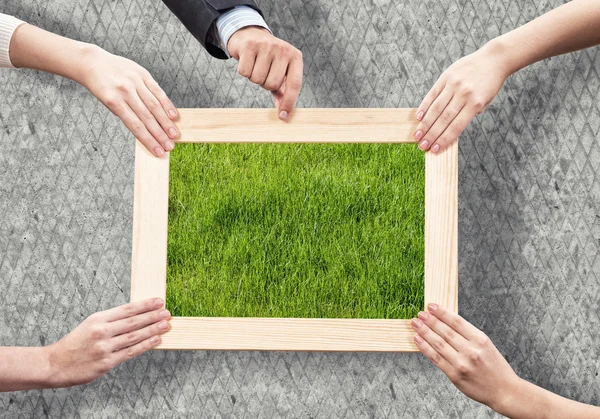 Concepto de vegetación —  Fotos de Stock