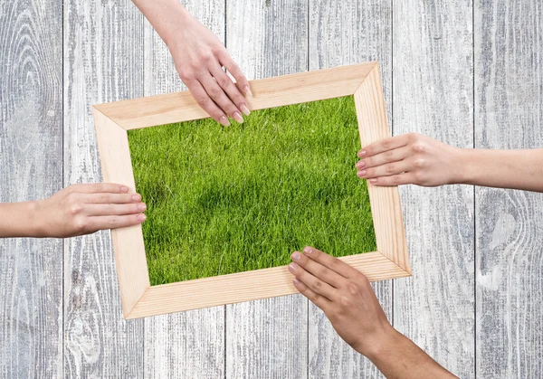 Rahmen mit Gras — Stockfoto