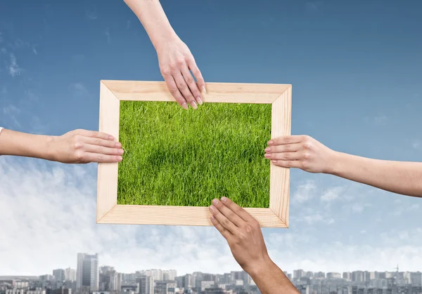 Rahmen mit Gras — Stockfoto