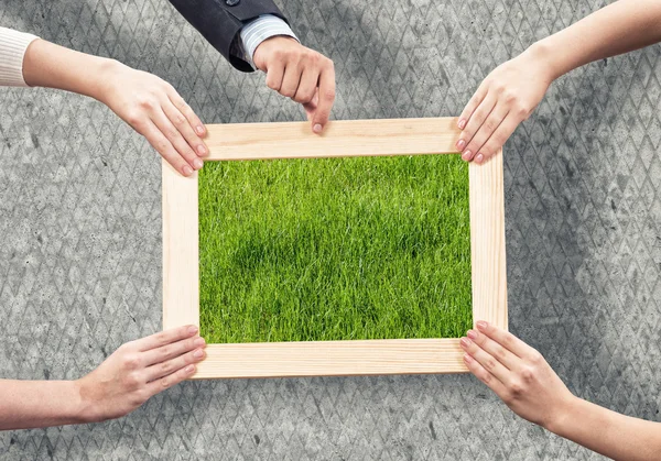 Concepto de vegetación —  Fotos de Stock