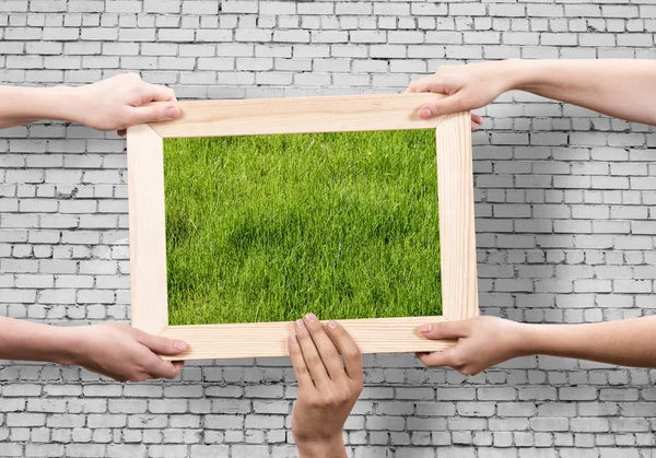 Frame with grass — Stock Photo, Image