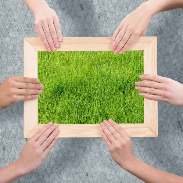 Conceito de vegetação — Fotografia de Stock