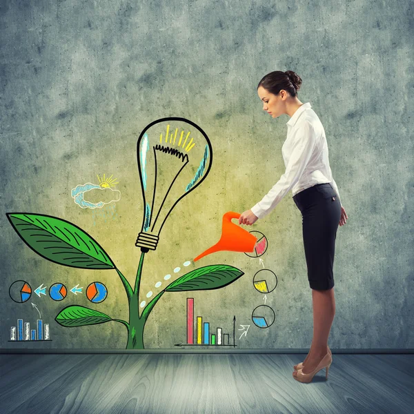 yaratıcı fikir sulama işkadını