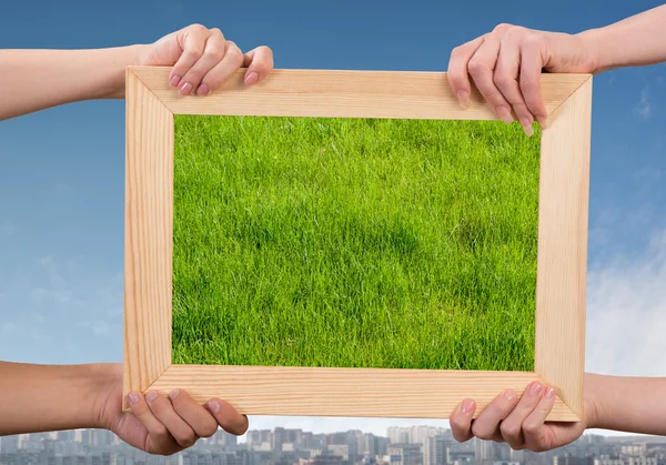 Rahmen mit Gras — Stockfoto