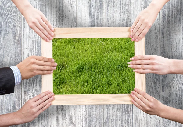 Frame met gras — Stockfoto