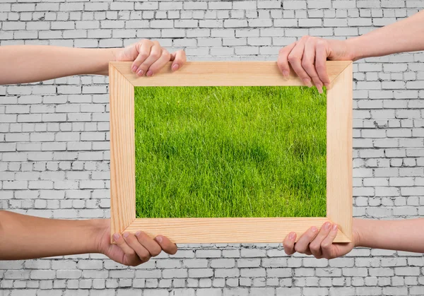 Telaio con erba — Foto Stock