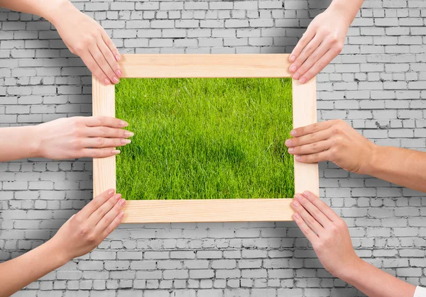Rahmen mit Gras — Stockfoto