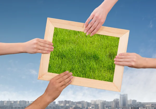 Rahmen mit Gras — Stockfoto