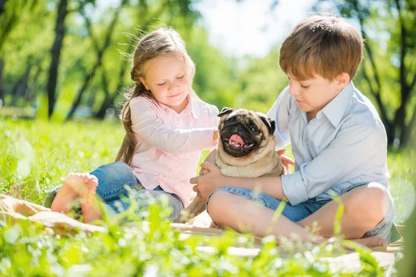Girl in summer park with their dog — Stockfoto
