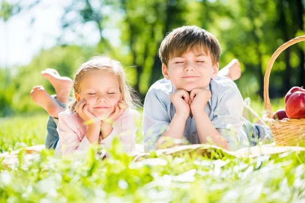 Kinderen op picnic — Stockfoto