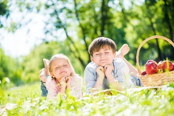 Kinderen op picnic — Stockfoto