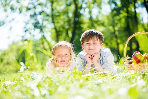 Anak-anak di piknik — Stok Foto