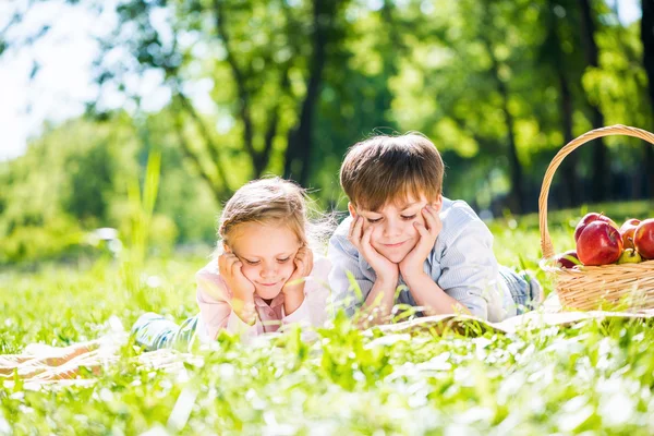 Kids at picnic — Stock Photo, Image