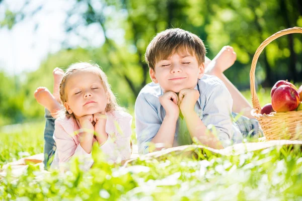 Kinder beim Picknick — Stockfoto