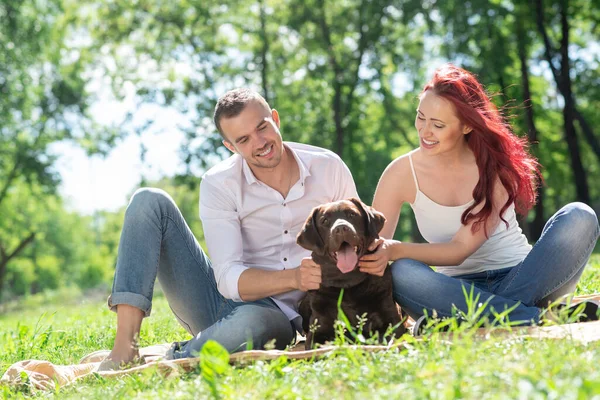 Couple with a dog in the park — Stock Photo, Image