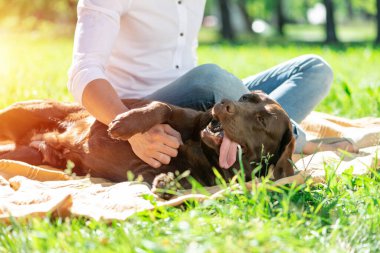 Parkta sahibi olan köpek.