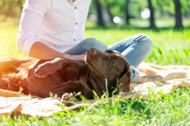 Parkta sahibi olan köpek.