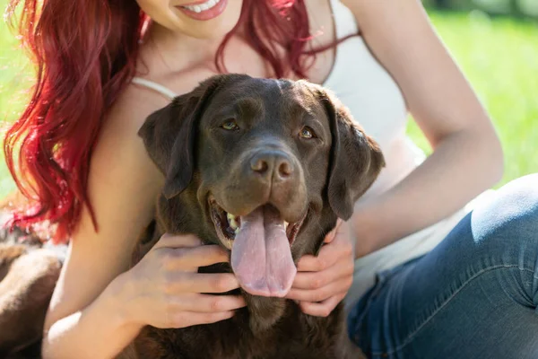 公園の若い女性と彼女の犬 — ストック写真