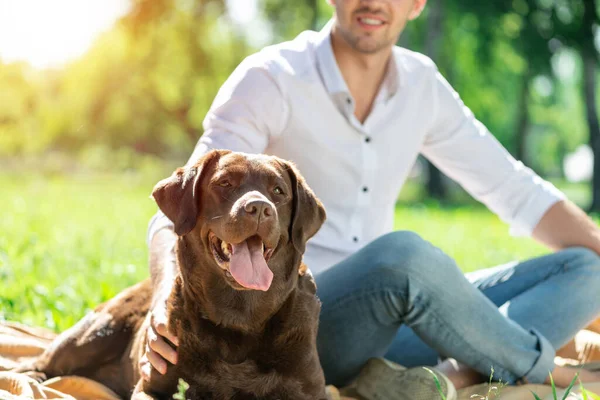 Perro con dueño en el parque —  Fotos de Stock