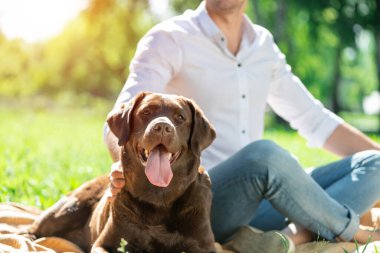 Parkta sahibi olan köpek.
