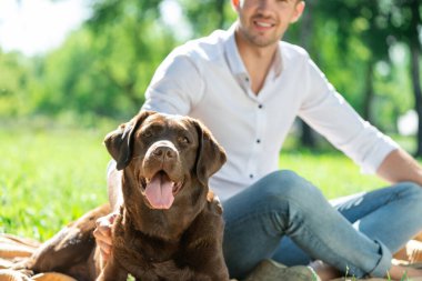 Parkta sahibi olan köpek.