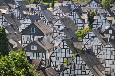 freudenberg Alman Köyü yarı ahşap evleri