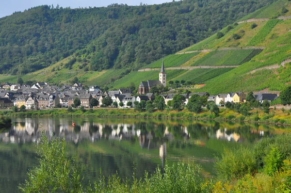 Liten by vid floden mosel, Tyskland — Stockfoto