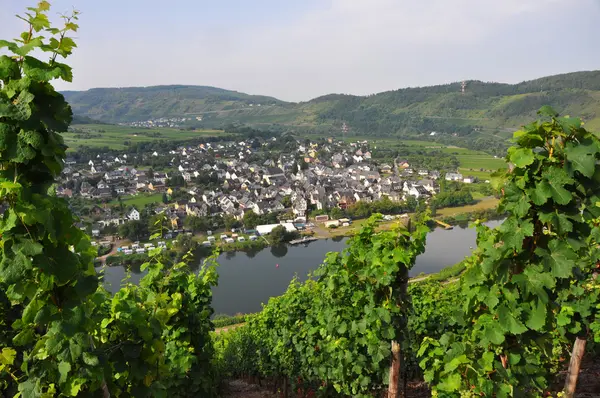 Landskap tysken och byn nära floden mosel — Stockfoto