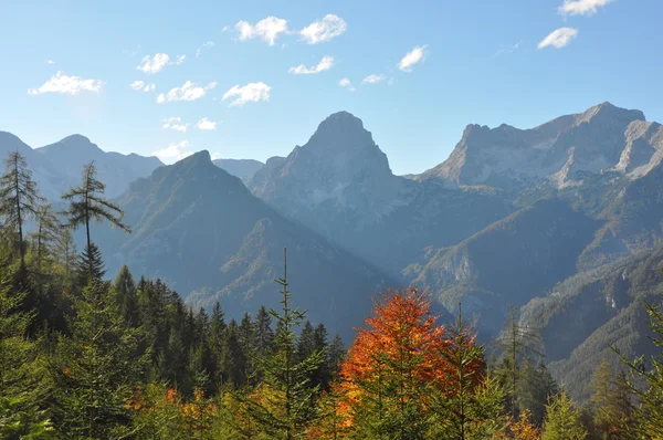 Güzel Alp Avusturyalı peyzaj — Stok fotoğraf