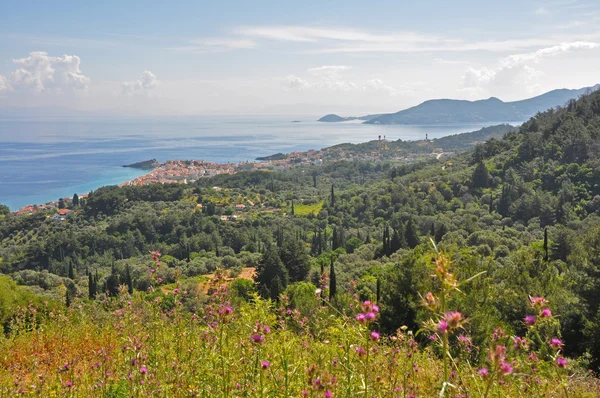 Landschaft auf der griechischen Insel Samos lizenzfreie Stockfotos