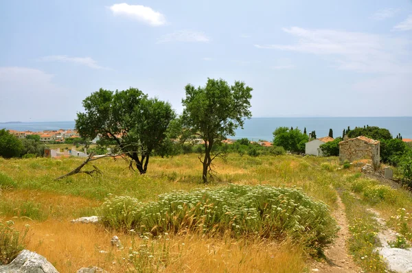 Pemandangan alam di pulau Yunani samos — Stok Foto