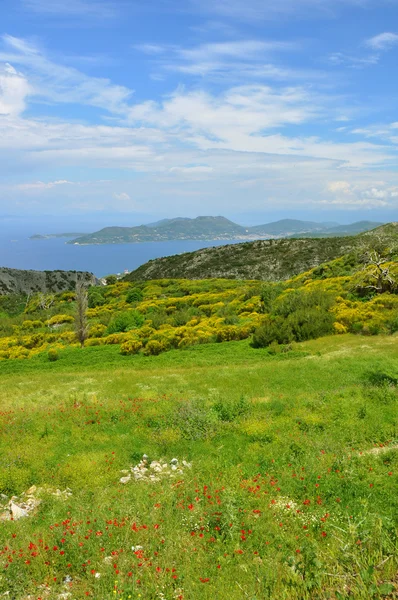 View over green greek island Samos — Stock Photo, Image