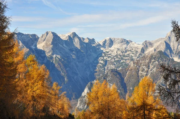Αλπικό τοπίο, το φθινόπωρο - Αυστρία — Φωτογραφία Αρχείου