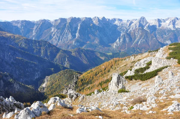 Güz - Avusturya Alpin peyzaj — Stok fotoğraf
