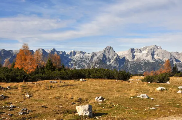 Alplandskap i höst - Österrike — Stockfoto