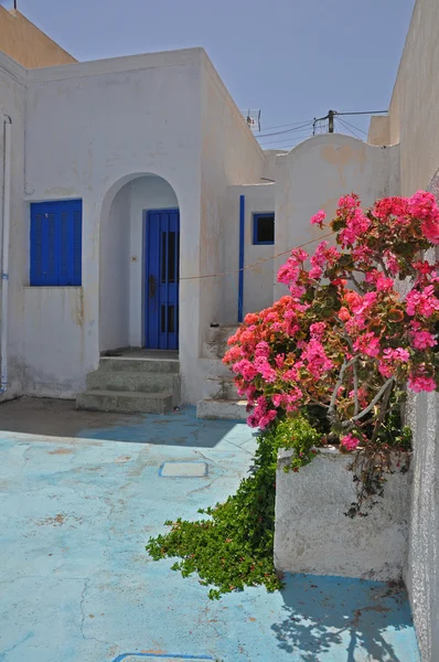 Roze bougainville op witte Griekse huis, santorini eiland — Stockfoto