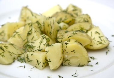 Beyaz tabakta dereotu ile haşlanmış patates